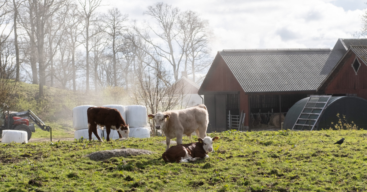 kohage vår PolyAgri